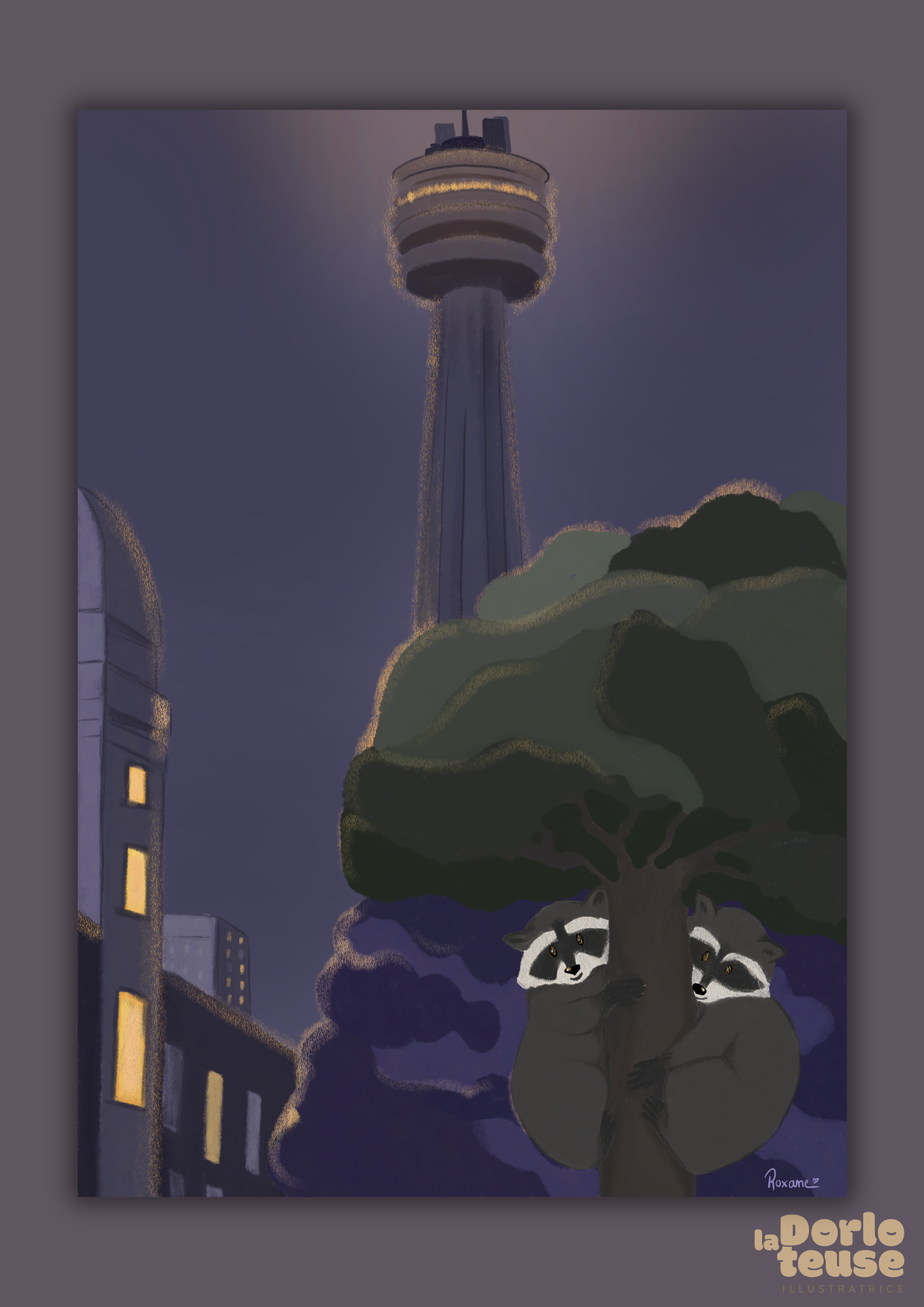 Racoon à Toronto